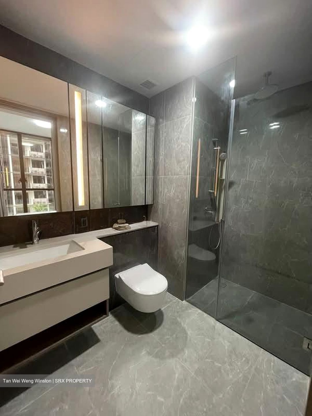Dairy Farm Residences (D23), Apartment #546726631